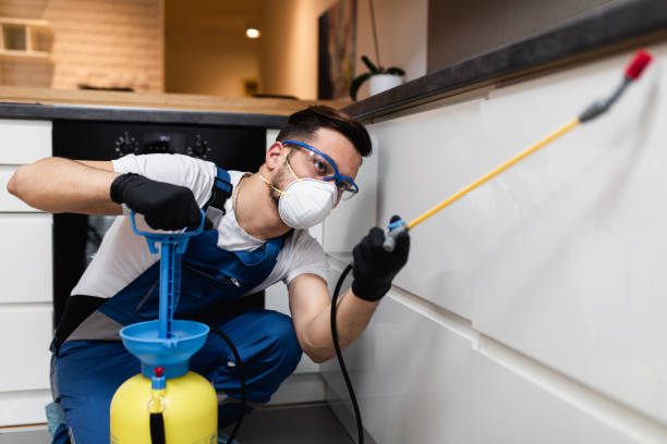 Best Pest Removal Services  in Ke Charles, LA
