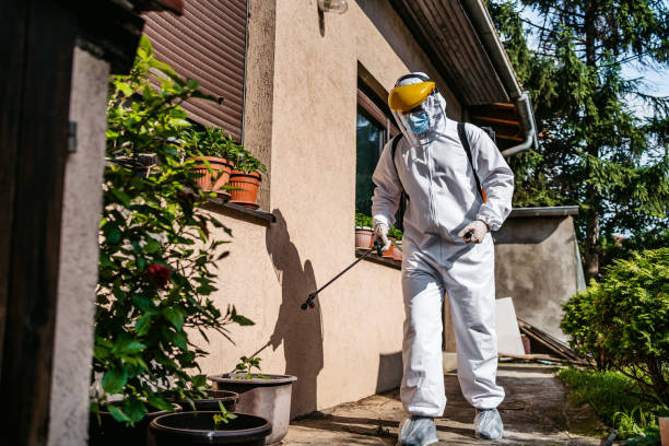 Professional Pest Control in Lake Charles, LA